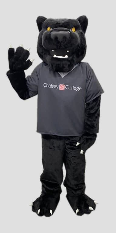 College panther mascot